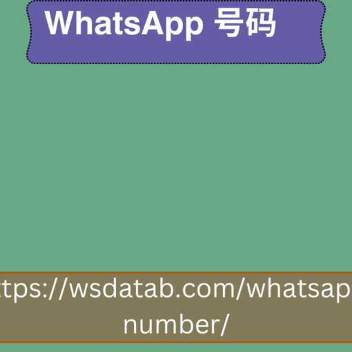 WhatsApp 号码